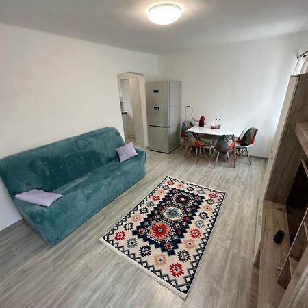 Nema S Apartment Braşov Eksteriør billede