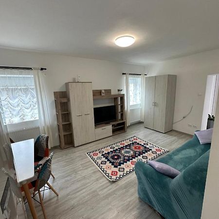 Nema S Apartment Braşov Eksteriør billede
