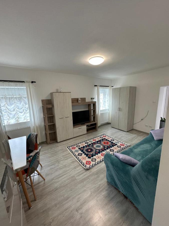 Nema S Apartment Braşov Eksteriør billede