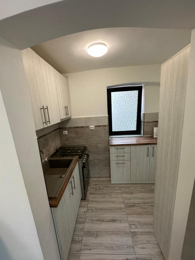 Nema S Apartment Braşov Eksteriør billede
